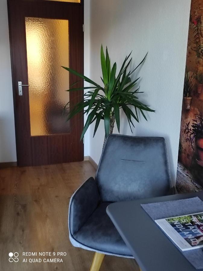 Apartment Panorama Schweinfurt Extérieur photo