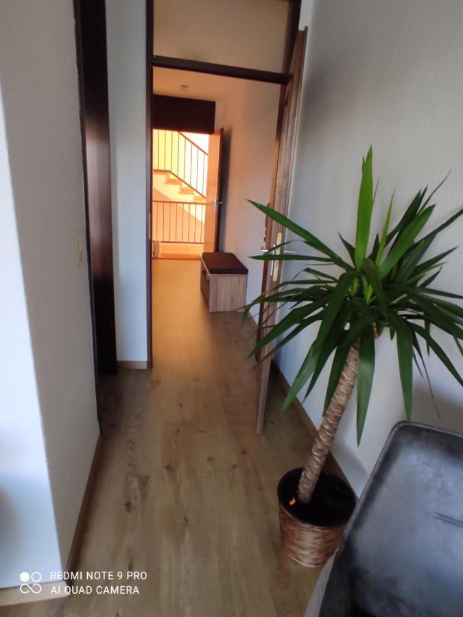 Apartment Panorama Schweinfurt Extérieur photo